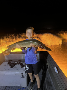 Catch of the Day in Lafitte: Alligator Gar